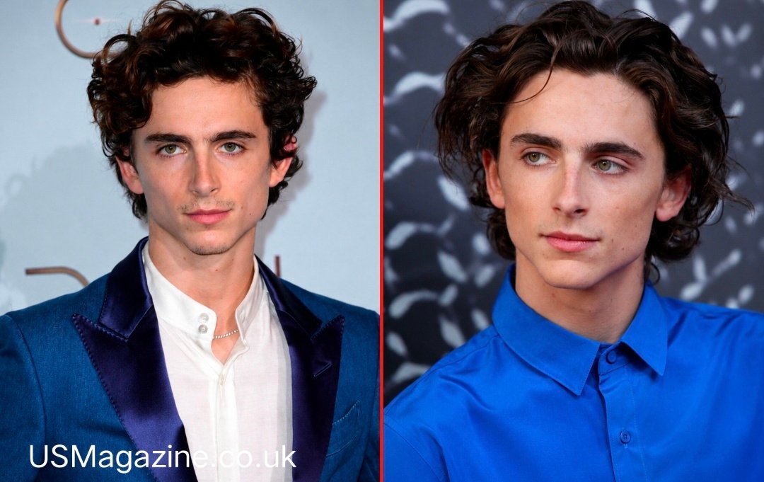 Who Is Timothy Shalloway? Aka Timothée Chalamet